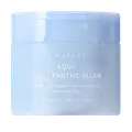 S.Nature Aqua Oasis Panthe-Allan Calming Pad  60 Pcs pack
