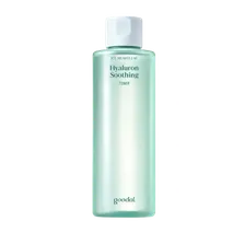 Goodal - Ice Heartleaf Hyaluron Soothing Toner - 350ml