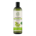 Petal Fresh Grape Seed & Olive Oil Shampoo 12Oz